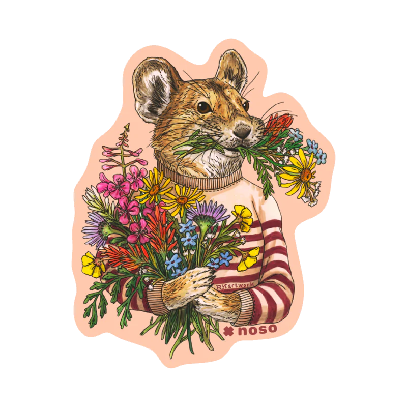 NOSO Patches Pika & Wildflowers