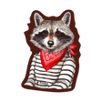 NOSO Patches Raccoon Bandit