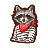 NOSO Patches Raccoon Bandit