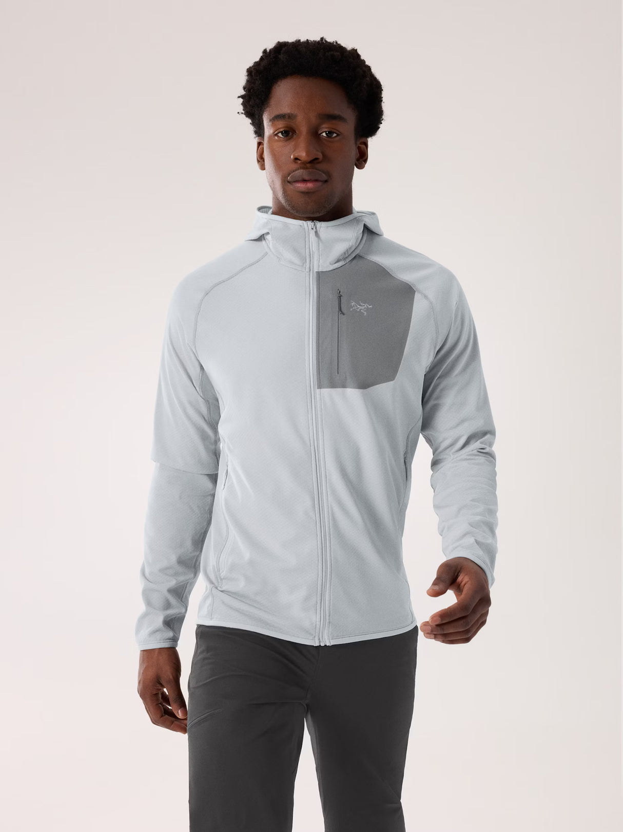 Arcteryx Delta Hoody - Mens