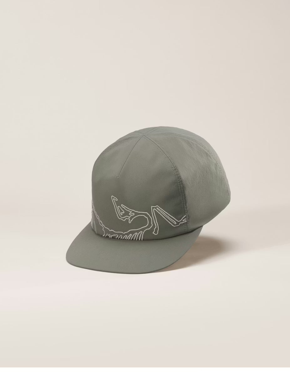 Arcteryx Silex Cap