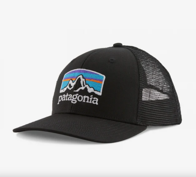 Patagonia Fitz Roy Horizons Trucker Asst