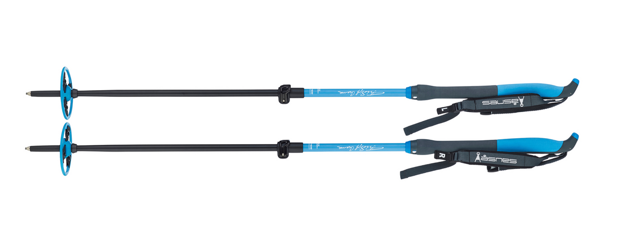 ASNES Nansen 2-Part Pole