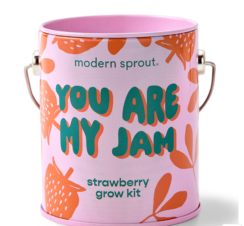 Modern Sprout Complimentary Color Grow Kit You Are My Jam