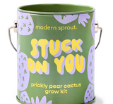 Modern Sprout Complimentary Color Grow Kit Stuck On You