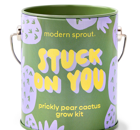 Modern Sprout Complimentary Color Grow Kit Stuck On You
