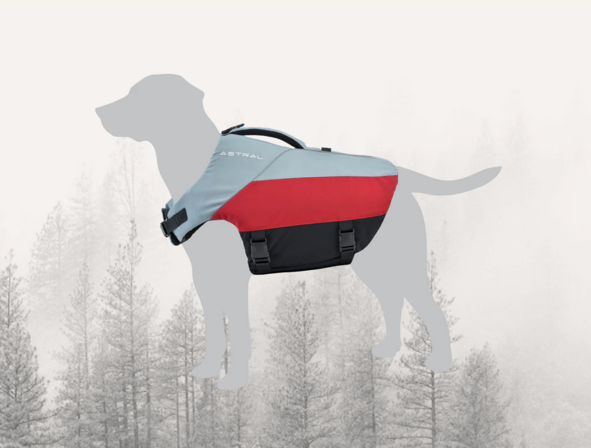 Astral Birddog