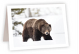 Ahava River Designs Fine Art Cards Bear