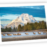 Ahava River Designs Fine Art Cards Elk