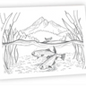 Ahava River Designs Fine Art Cards Trout