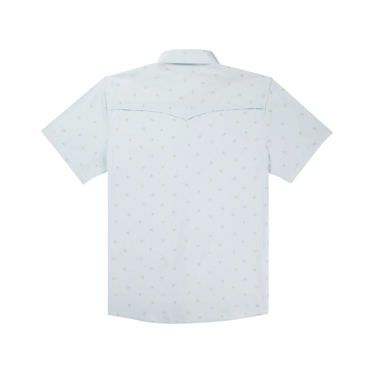 The Bonito - Men's