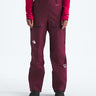 The North Face Summit Futurelight Amk Ski Pant - Womens Rhododendron