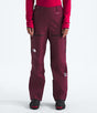 The North Face Summit Futurelight Amk Ski Pant - Womens Rhododendron