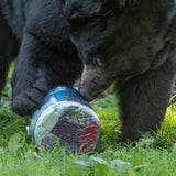 Bear Vault / BVOne Adjustable