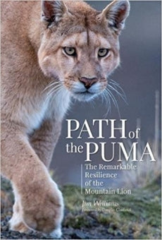 Patagonia Path Of The Puma