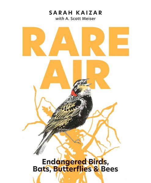 Mountaineers Books Rare Air