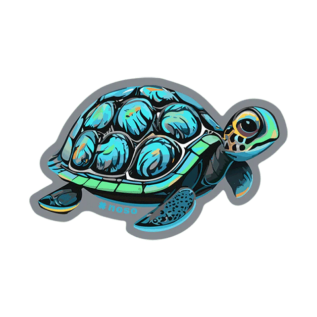 NOSO Patches Turtle