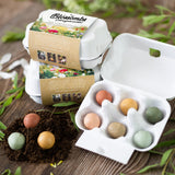 Buzzy Seeds Grow Gifts Egg Carton Seeds