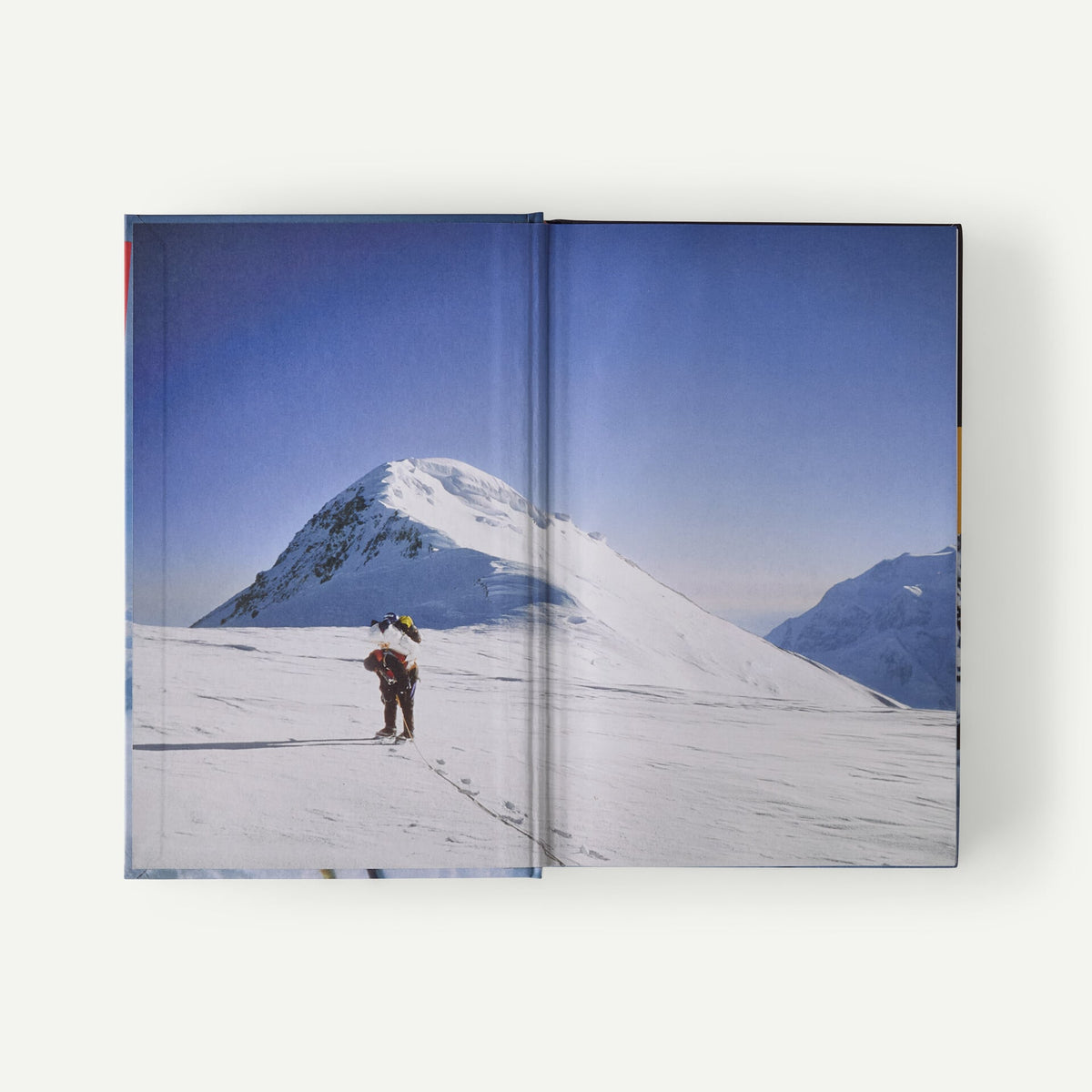 The Echo - Stories from the Edge of Survival