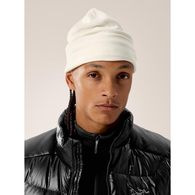 Arcteryx Embroidered Bird Toque Arctic Silk
