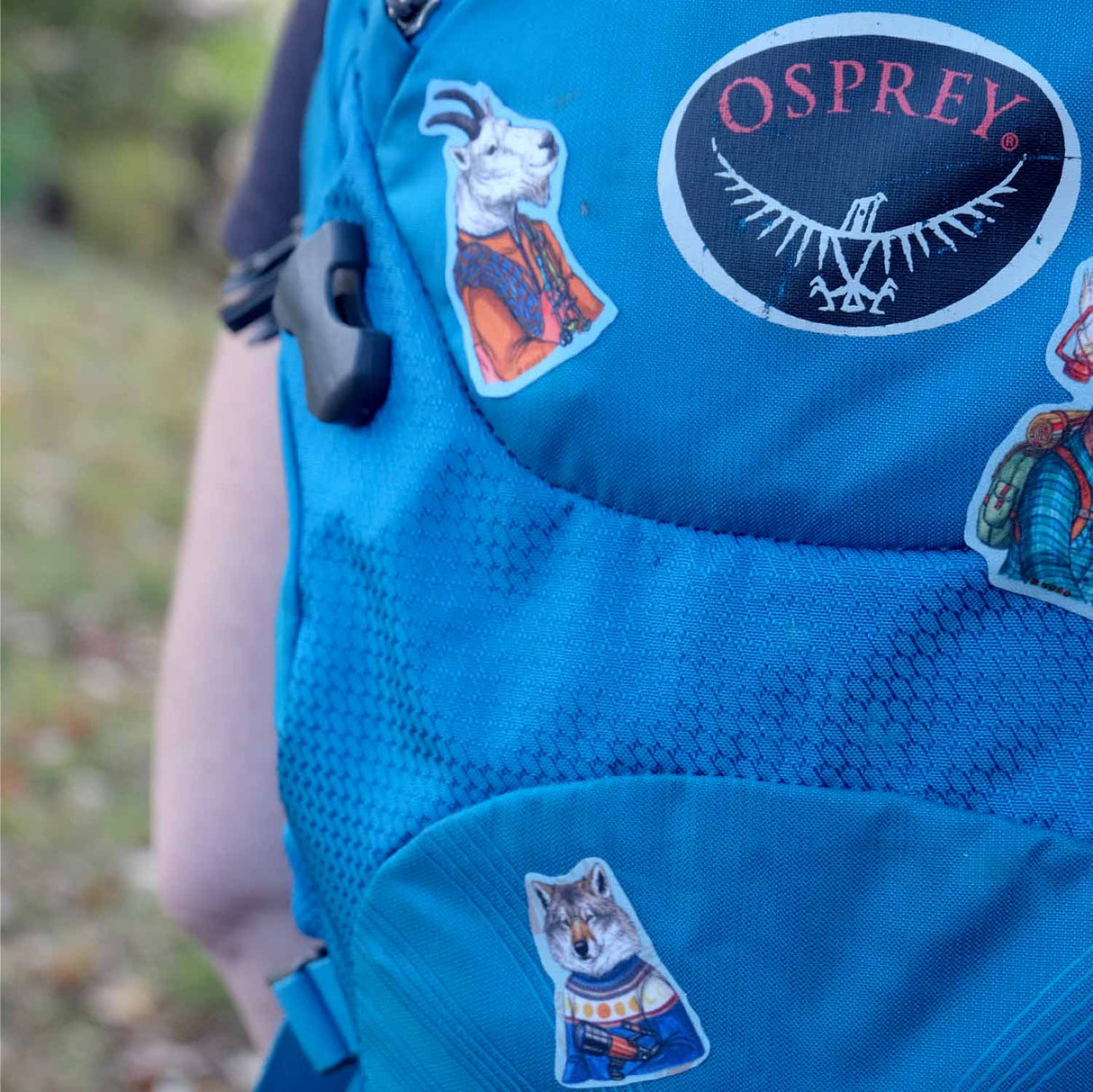NOSO Patches Wolf Stargazer