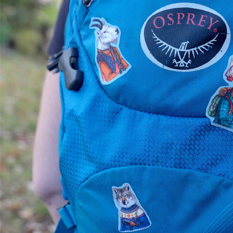 NOSO Patches Wolf Stargazer