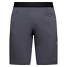 Helixir Shorts - Men's