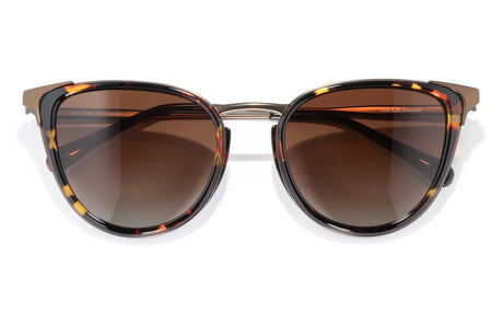 SUNSKI Catalina Tortoise Sepia