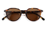 SUNSKI Vallarta Tortoise Amber